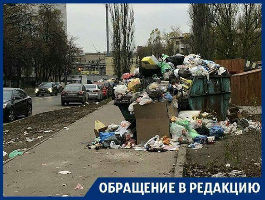 Мусорный контейнер потеснил пешеходов на тротуаре в Воронеже