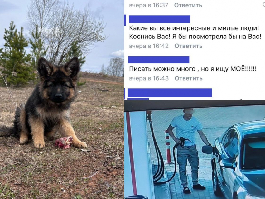 "Я за нее голову порву": мужчину обвинили в краже собаки, которую он спас в Воронежской области 