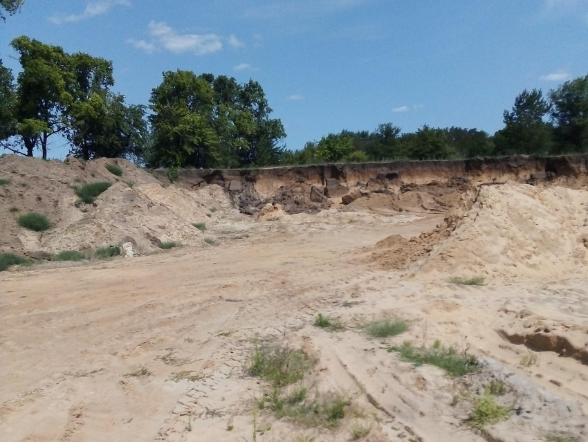 Воронежский нелегал с экскаватором: песчаный бизнес пресекли правоохранители