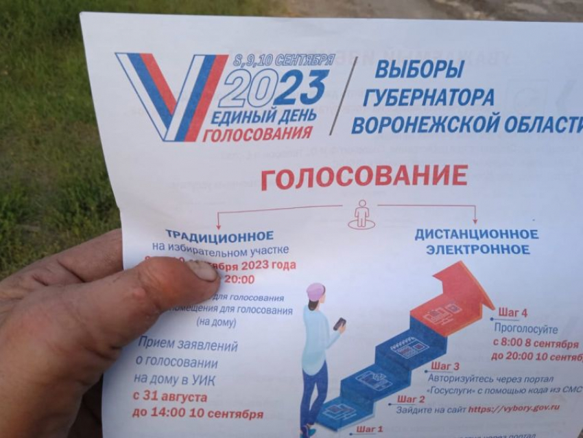 Массовая реклама губернаторских выборов продолжается в Воронежской области