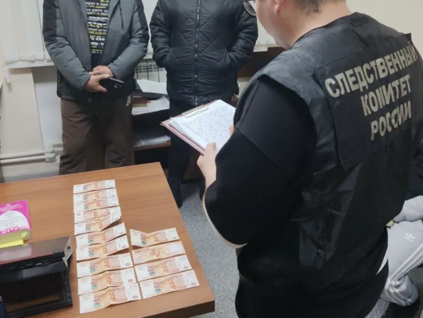 Пьяный водитель рискует «заехать» за попытку дать взятку в Воронежской области