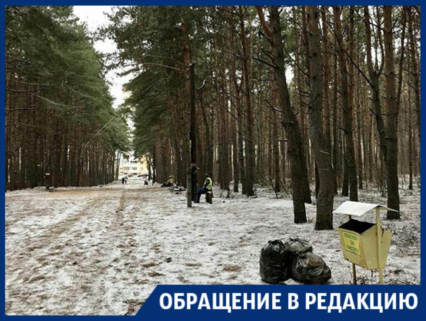 Благодаря вам Северный лес привели в порядок! – читательница «Блокнота Воронеж»