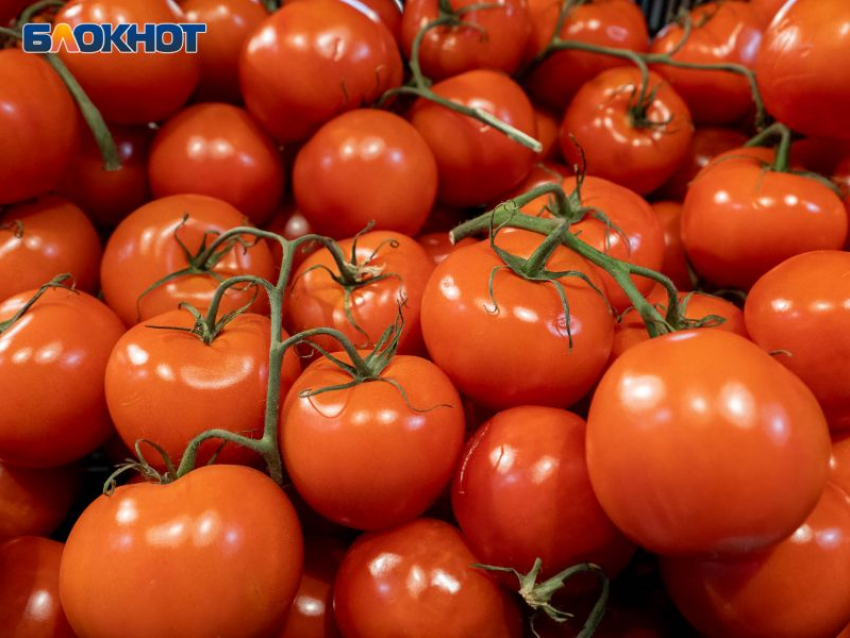 Овощную базу выставили на продажу за 200 млн рублей под Воронежем