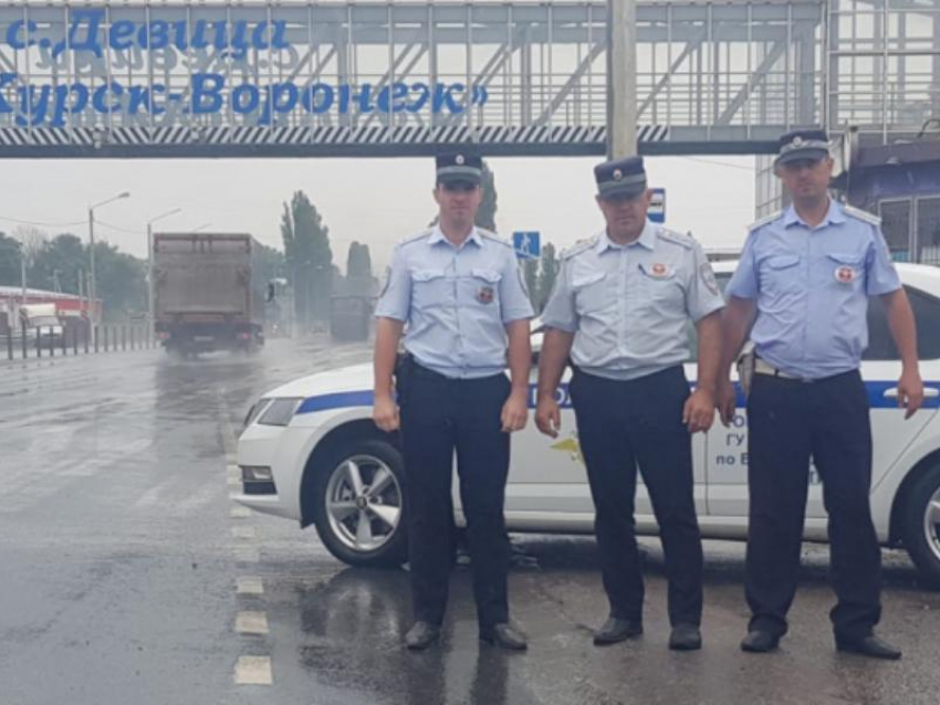 Мужчина потерял сознание от укуса шершня и чуть не задохнулся под Воронежем