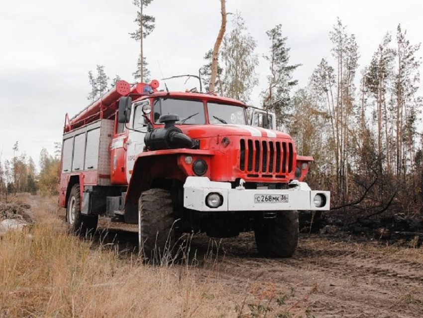 В Воронежской области один пенсионер поджег другому машину