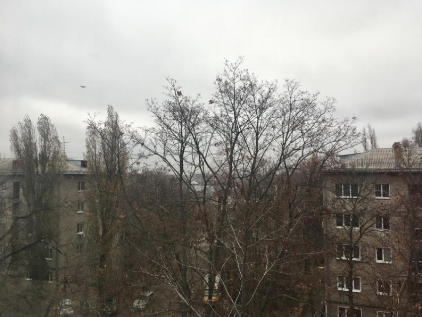 Холодный антициклон поменяет погоду в Воронеже