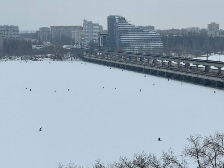 Рыбаки массово вышли на Воронежское водохранилище, воспользовавшись оттепелью