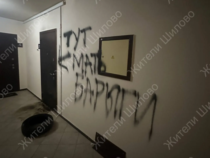 Вандалы устроили перфоманс возле жилища «матери наркоторговца в Воронеже»