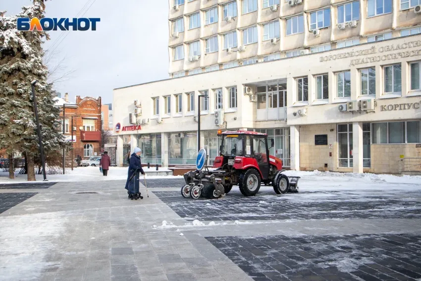 Более 138 миллионов рублей выделят на покупку снегоуборочной техники в Воронежской области