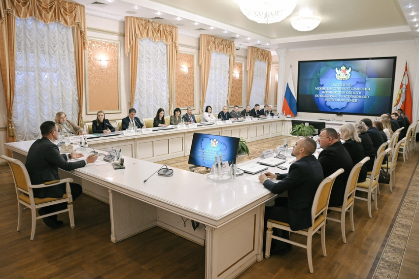 Доступную среду во дворах для ветеранов СВО обсудили в Воронеже