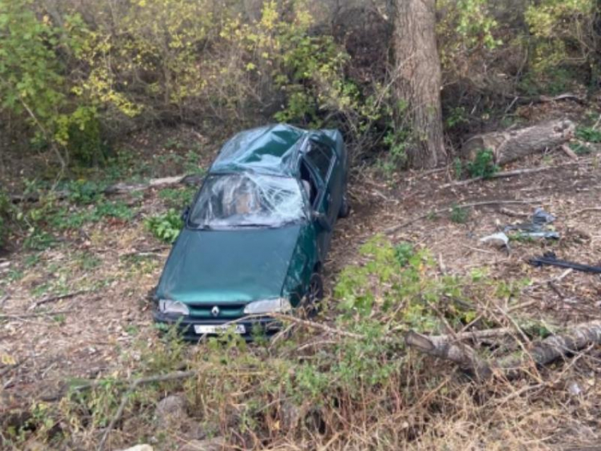 Пьяный воронежский водитель въехал в дерево на Солдатском поле и попал в больницу 