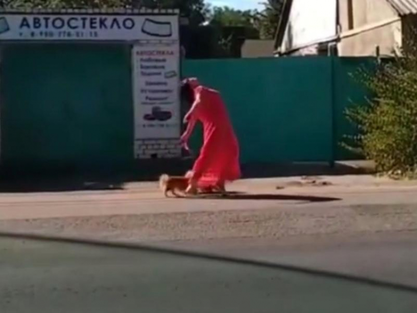 Эпатажную прогулку раскрепощенной девушки с собаками сняли на видео в Воронеже