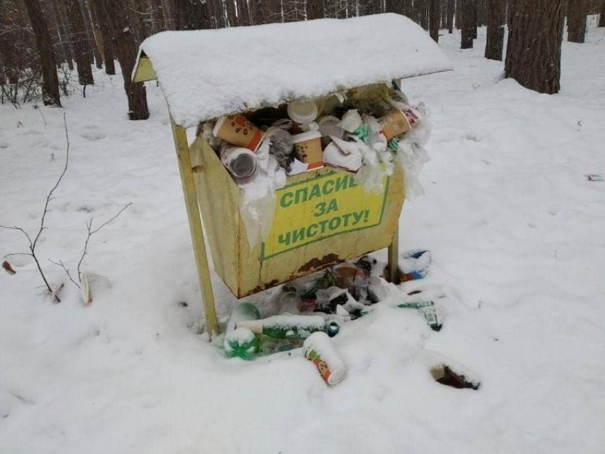 Мэр Кстенин проследит за мусором в Воронеже