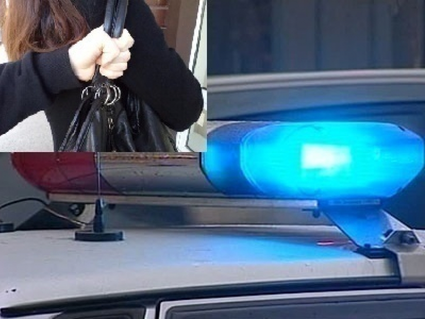 В Воронеже у девушки прямо из рук вырвали на улице сумку