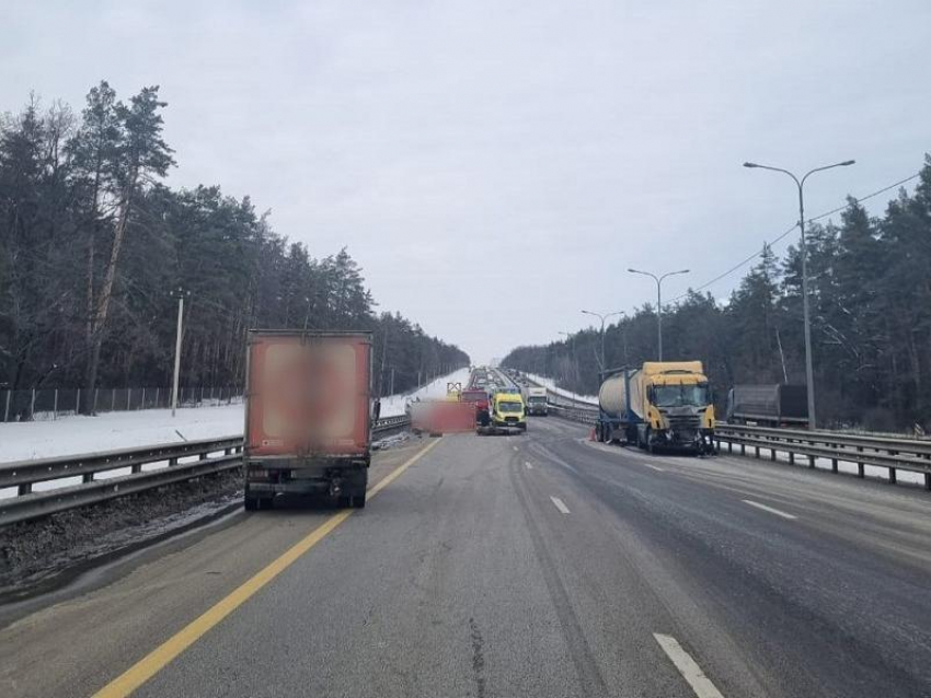Колонна грузовиков «Красное&Белое» попала в массовое ДТП под Воронежем