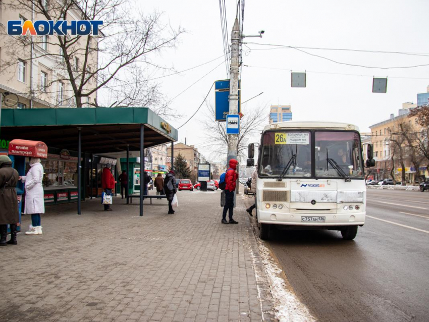 Как дополнительно сэкономить к Новому году, колеся по Воронежу