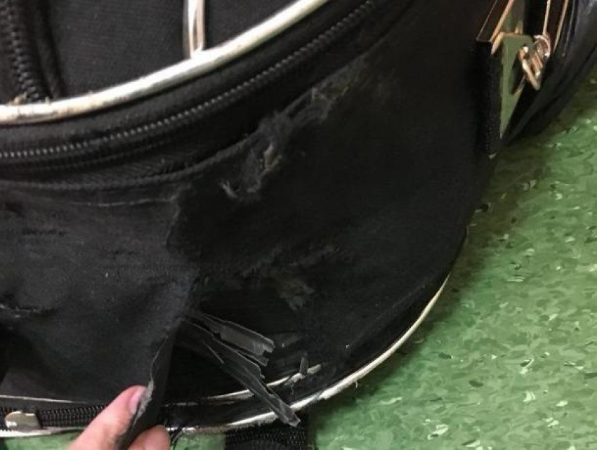 Жительнице Калининграда вскрыли багаж во время перелета в Воронеж