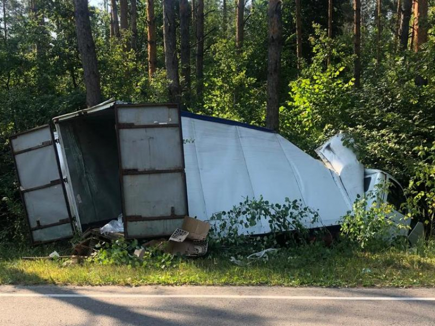 Водитель грузовика погиб при столкновении с деревом в Воронежской области