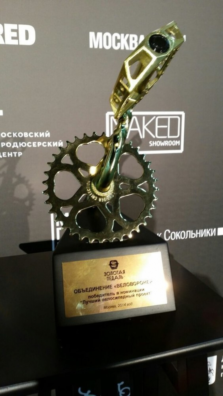 «Веловоронеж» стал лучшим в России велопроектом 