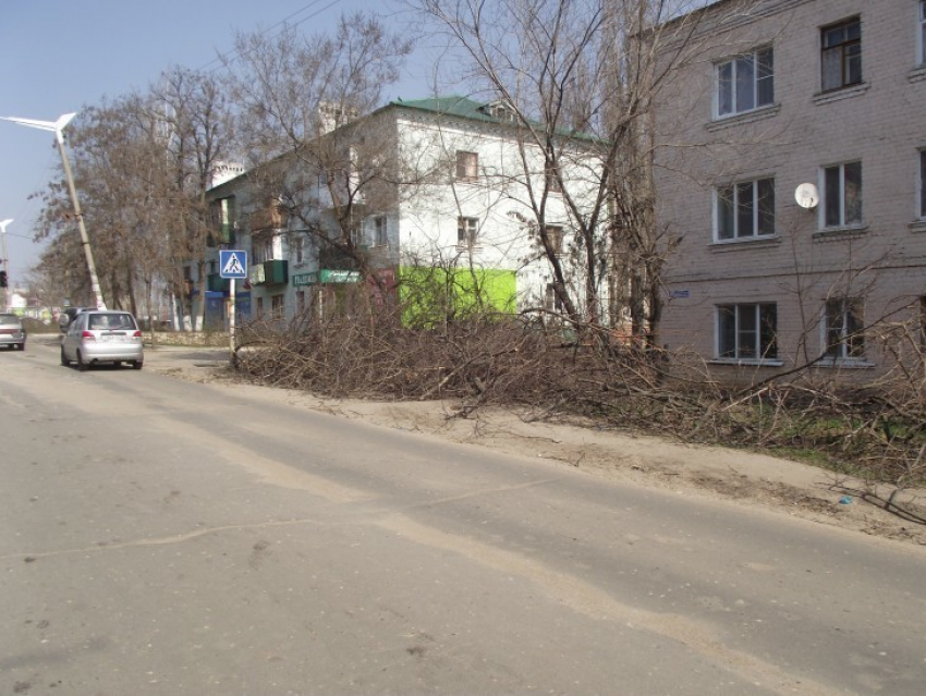 Центральные улицы Семилук украсили спиленными ветками (ФОТО)