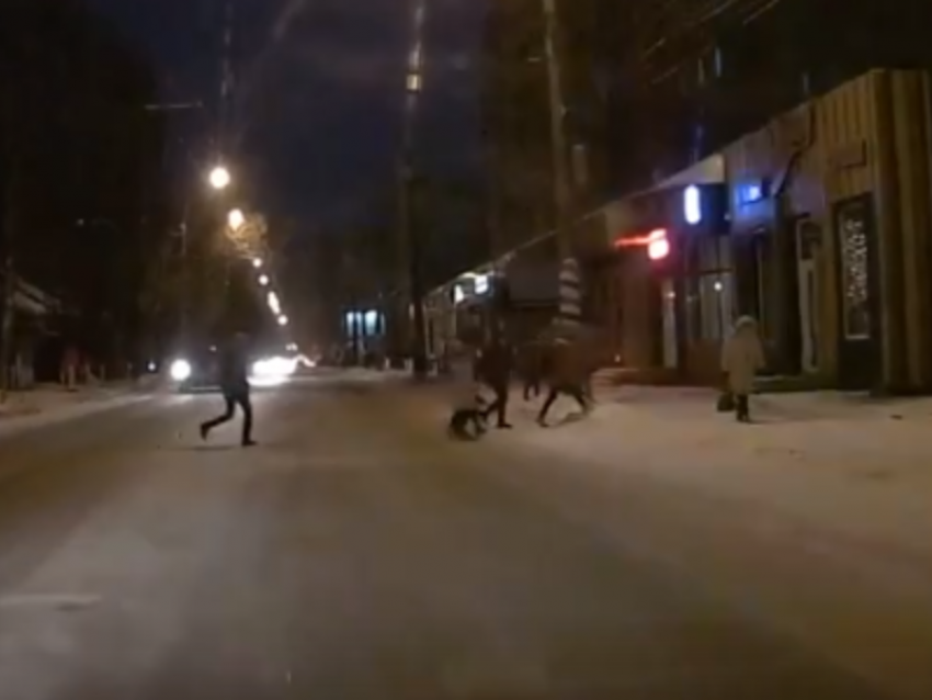 Опасное поведение детей на дороге попало на видео в Воронеже