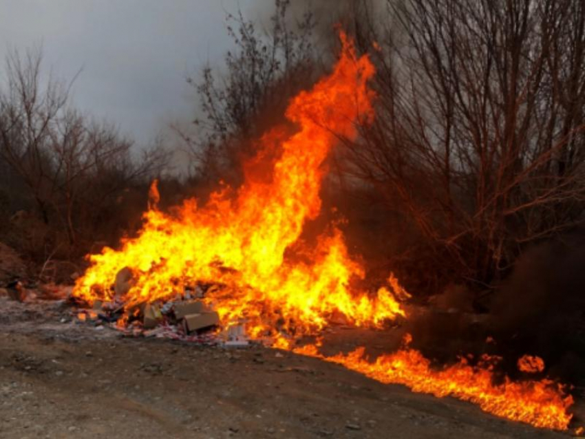 В Воронеже эффектно уничтожили паленые сигареты на миллион рублей