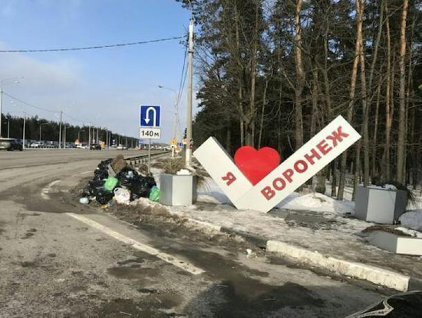 "Я люблю Воронеж» превратили в помойку