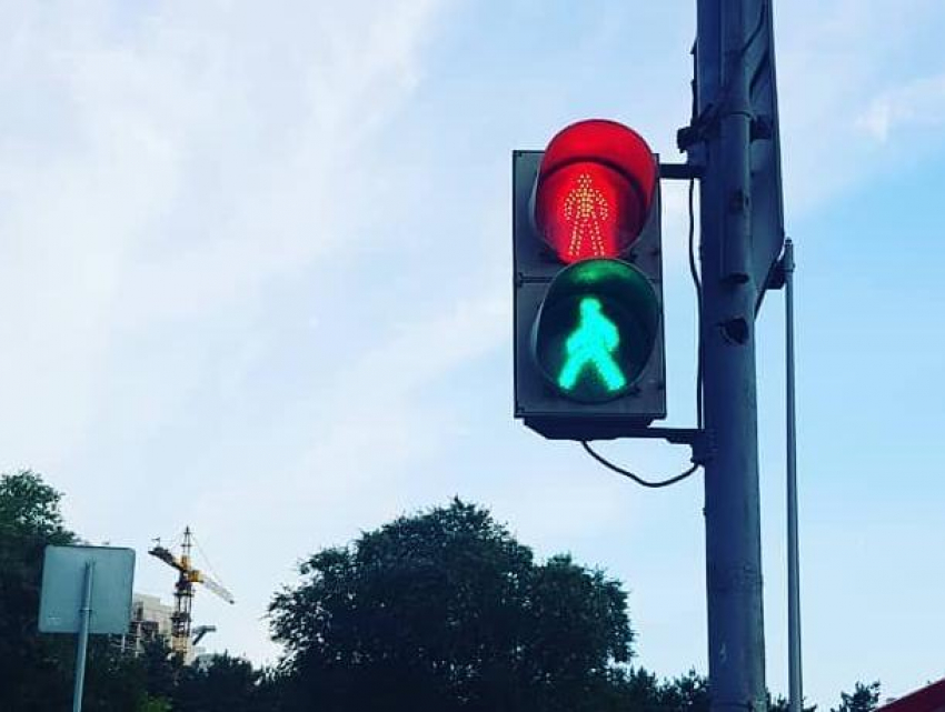 Диссонанс светофора, призывающий «шагать на месте», показали на фото в Воронеже