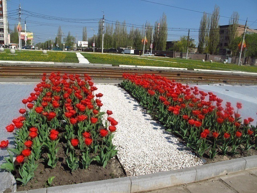 Весна в Воронеж вернется в середине недели