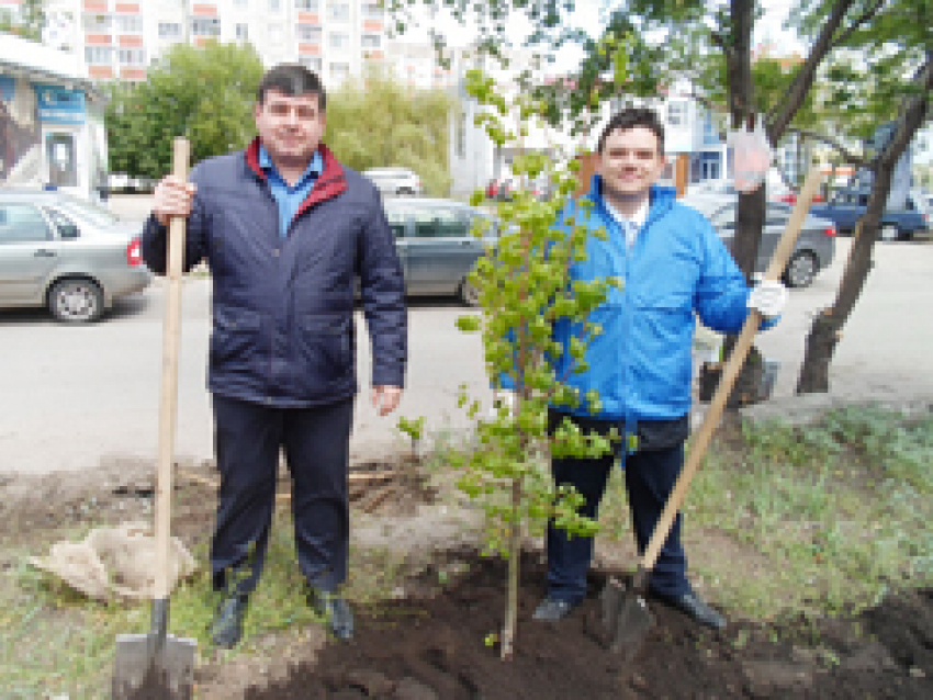 В Северном микрорайоне Воронежа появится новый сквер