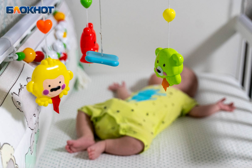 Награды от Путина получили воронежские многодетные семьи