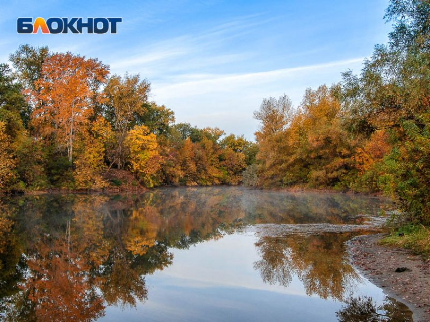 Под особую охрану могут взять устье реки Икорец в Воронежской области