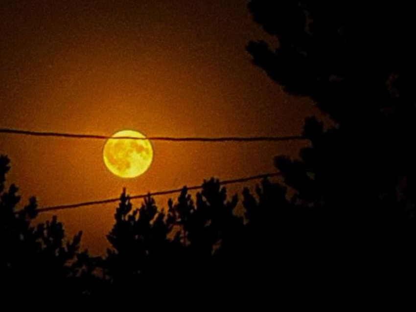 «Оленью луну» наглядно показали в Воронеже