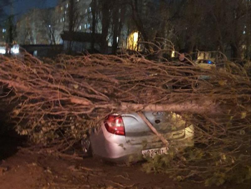  Очередные последствия сильного ветра показали в Воронеже 