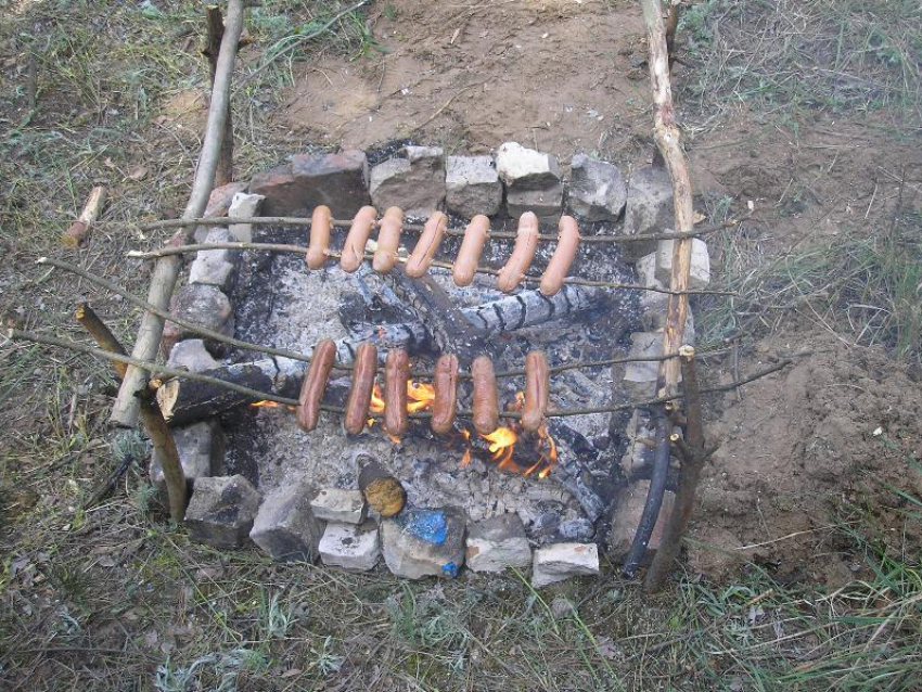 Особый противопожарный режим введут в Воронежской области в середине апреля