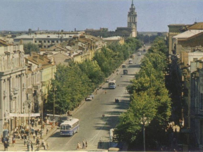 4 тысячи деревьев и 19 тысяч кустарников планируют высадить в Воронеже в 2026 году 