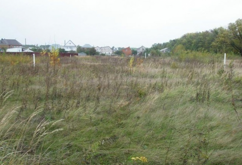 Многодетный воронежец обвинил главу микрорайона Подклетное и ее сына в «рейдерском» захвате его земли