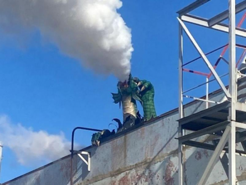 Пародышащего дракона заметили на крыше воронежского завода