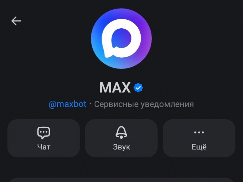 Фейк о массовом взломе мессенджера MAX развенчали в Воронеже