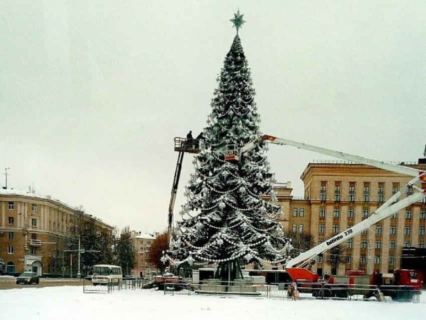 Итоговый образ главной новогодней елки показали в Воронеже