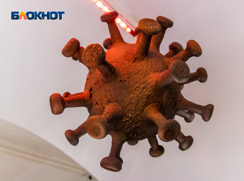 133 заразились и 11 скончались от COVID-19 в Воронежской области 