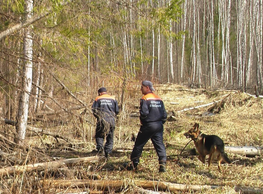 В Воронежской области для поисков пенсионера с потерей памяти потребовались добровольцы