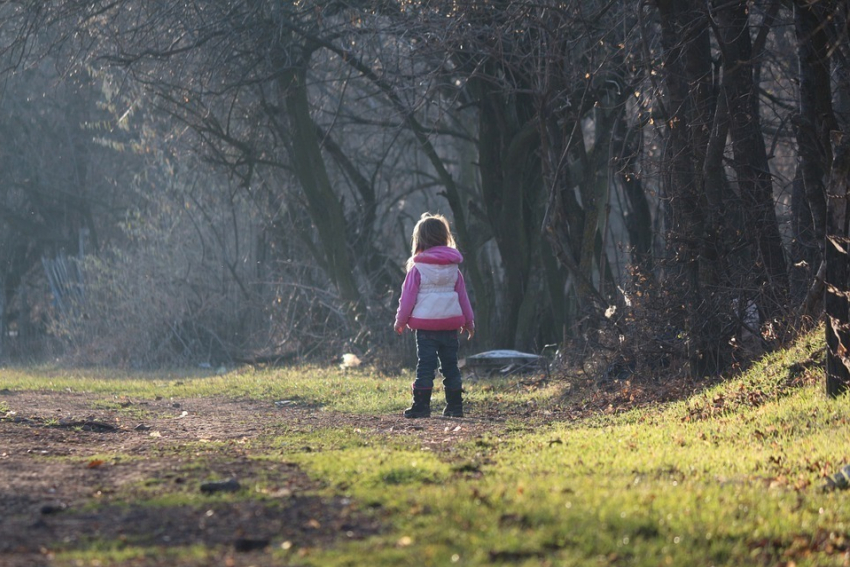 Стали известны страшные подробности исчезновения 2-летней девочки под Воронежем
