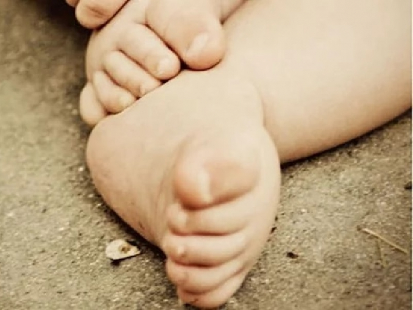 Тело младенца нашли на мусоросортировочном заводе под Воронежем