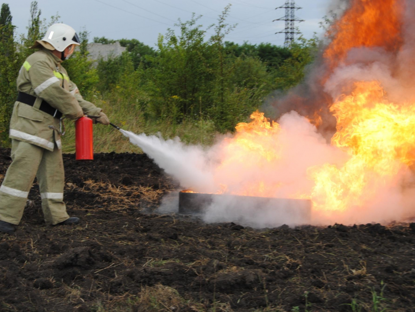 В Воронеже растет площадь лесных пожаров