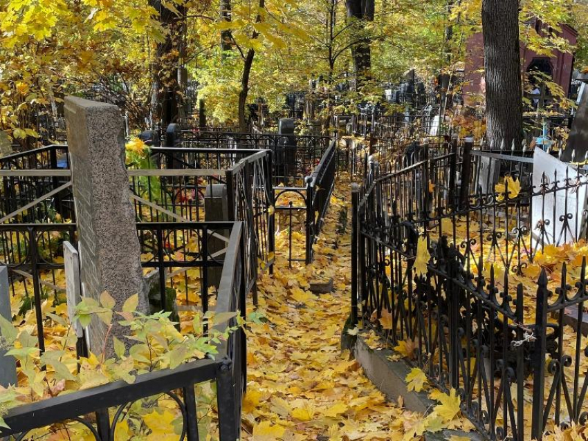 «Альтернативы нет»: мэрия ответила недовольным строительством нового кладбища в Воронеже