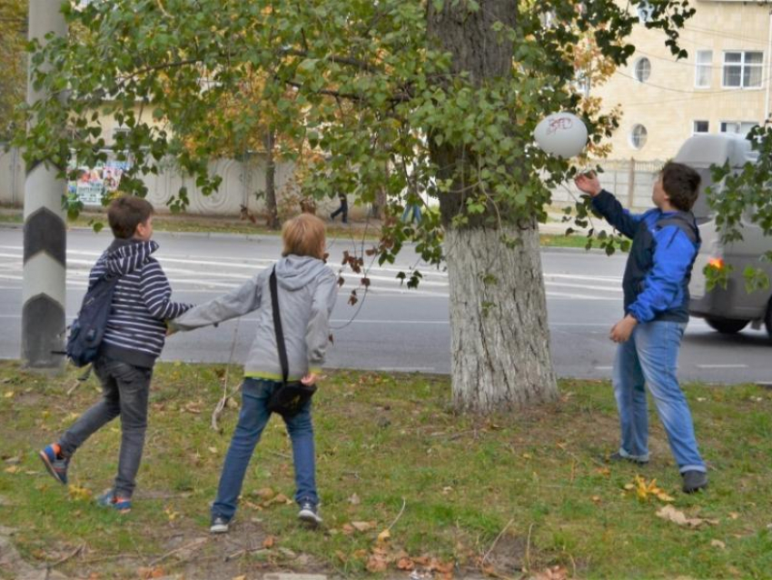 Почти за 5,3 млн рублей благоустроят сквер в Воронежской области