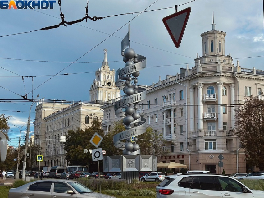 Что в Воронеже дорожает быстрее, чем в других городах, показала статистика