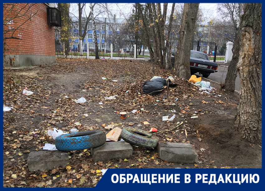 Живописный район Воронежа обрекают на уродливую весну