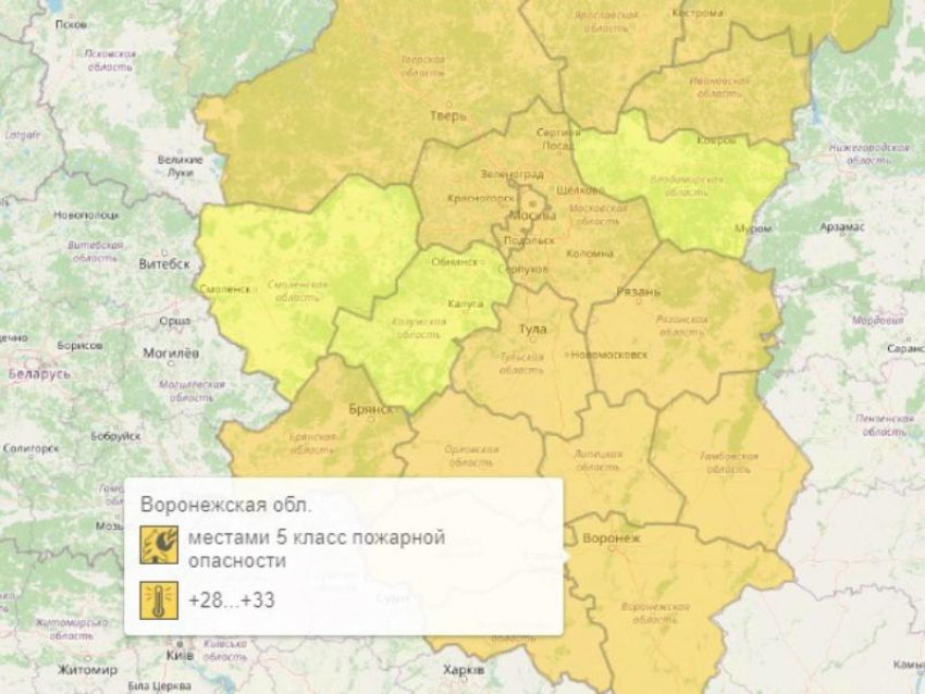 Оранжевый уровень опасности объявили в Воронеже из-за погоды